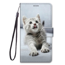 Kotelot Samsung Galaxy M53 5G Suojaketju Kuori Grey Strappy Kitten