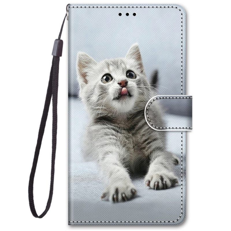 Kotelot Samsung Galaxy M52 5G Astonished Kitten