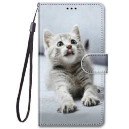 Kotelot Samsung Galaxy M52 5G Astonished Kitten