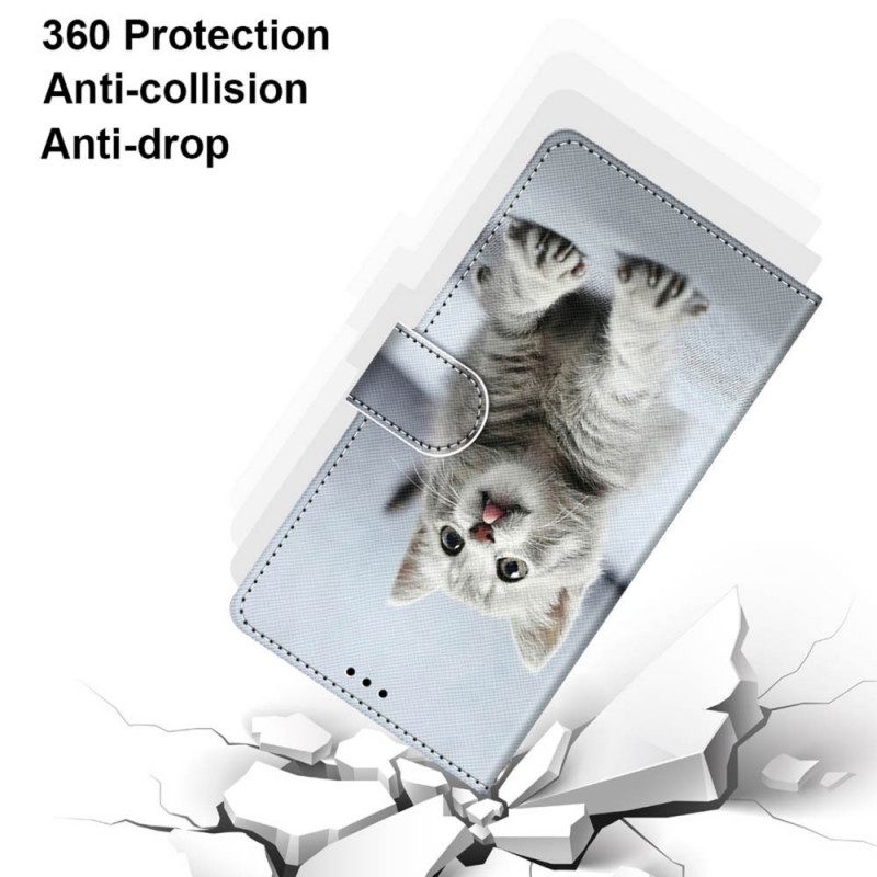 Kotelot Samsung Galaxy M52 5G Astonished Kitten