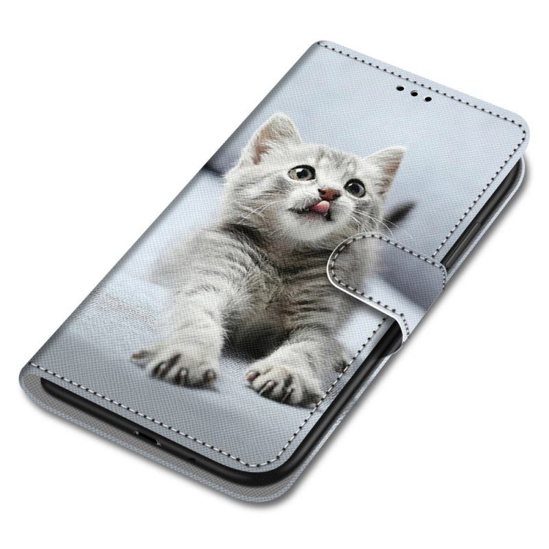 Kotelot Samsung Galaxy M52 5G Astonished Kitten