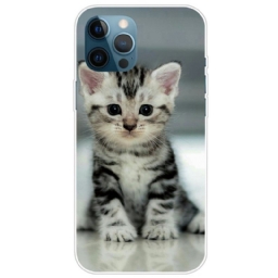 Case iPhone 14 Pro Max Kitten