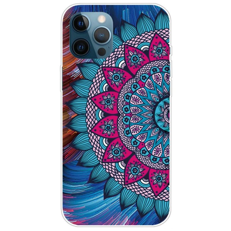 Case iPhone 14 Pro Max Värikäs Mandala