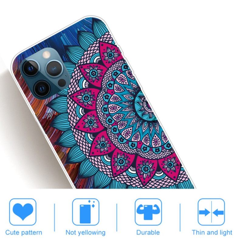 Case iPhone 14 Pro Max Värikäs Mandala